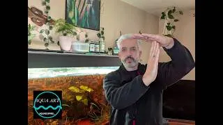 Miniature : Pause vidéos