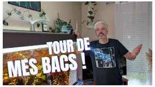 Miniature : Tour de mes bacs !  retour de vacances