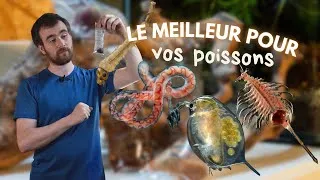 Miniature : LES NOURRITURES VIVANTES (DÉBARQUENT SUR AQUABOTA) | AQUABOTA