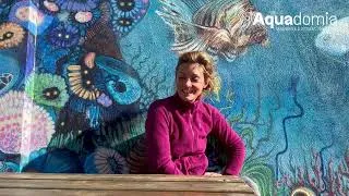 Miniature : Découvrez Clémentine, stagiaire chez Aquadomia ! #Témoignage #Plongée #Marseille