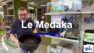 Miniature : Ce poisson va te surprendre !