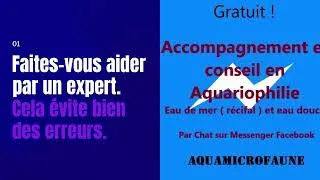 Miniature : 5 Conseils ultime pour démarrer un récifal