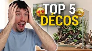 Miniature : LES MEILLEURES DÉCORATIONS POUR VOTRE AQUARIUM !