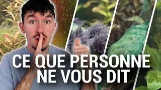 Miniature : POURQUOI LES ALGUES REVIENNENT TOUJOURS DANS VOTRE AQUARIUM !?