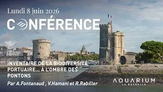 Miniature : Conférence : Inventaire de la biodiversité portuaire...à l'ombre des pontons