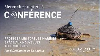 Miniature : Conférence : Protéger les tortues marines grâce aux nouvelles technologies
