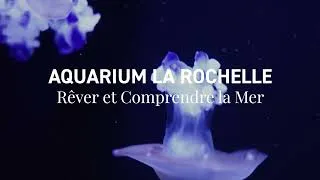 Miniature : De l'Atlantique au Pacifique : voyage au cœur de la biodiversité à L'Aquarium La Rochelle