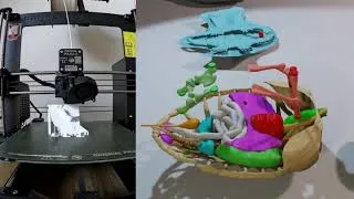 Miniature : Première mondiale : Une maquette anatomique de tortue marine en 3D