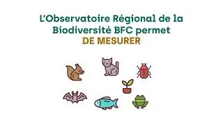 Miniature : Découvrez nos outils pour mieux connaitre la biodiversité d'un territoire