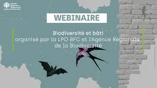 Miniature : Webinaire : Biodiversité et bâti