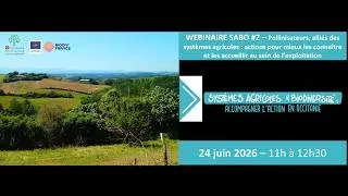 Miniature : Webinaire SABO#2  : Pollinisateurs, alliés des systèmes agricoles