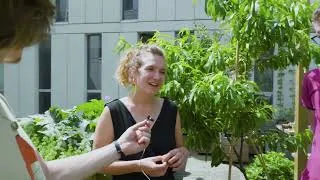 Miniature : Reportage : Découvrez le RoofPot' !