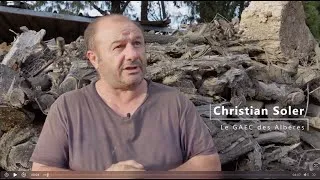 Miniature : Christian Soler - Le GAEC des Albères  - Arboriculture et maraîchage - Saint Génis des Fontaines