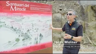 Miniature : Jordi Molner, Celler El Miracle - Vignoble au Miracle.
