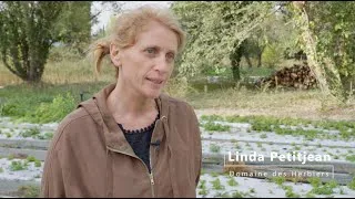 Miniature : Linda et Thierry Bornarel - Domaine des herbiers - Plantes aromatiques et fleurs comestibles – Elne