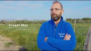 Miniature : Ernest Mas, Verdcamp Fruits. Agriculture du sol vivant dans une exploitation maraîchère.