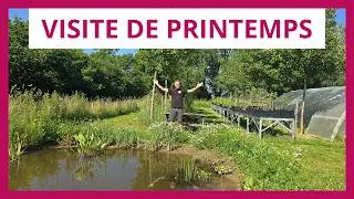 Miniature : Mon terrain au printemps : visite du jardin-forêt, de la pépinière et des haies fruitières