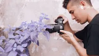 Miniature : L'architecture et la photographie