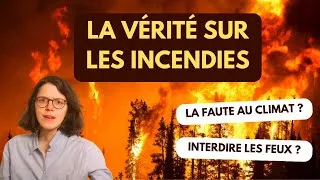 Miniature : Les VRAIS causes des incendies en Californie 🔥