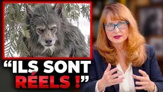 Miniature : Ce que c'est vraiment le DOGMAN — Linda Godfrey donne enfin sa réponse après 30 ans