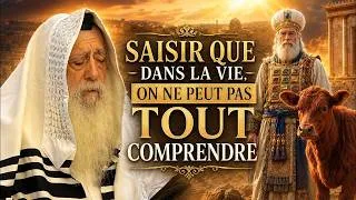 Miniature : Rabbi David 'Hanania Pinto - 39 'Houkat - Saisir que dans la vie on ne peut pas tout comprendre