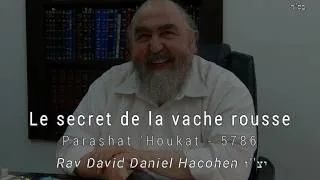 Miniature : Rav David Daniel haCohen - 39 'Houkat - Le secret de la vache rousse