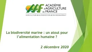 Miniature : 2/12/2020 : La biodiversité marine : un atout pour l’alimentation humaine ?