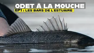 Miniature : Pêche à la mouche sur l'Odet - EP1 - les bars de l'estuaire