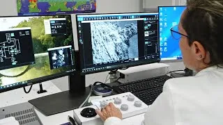 Miniature : Focus sur une technique : le microscope électronique à balayage (MEB)