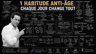 Miniature : L'habitude quotidienne qui accélère le vieillissement plus que le tabagisme !