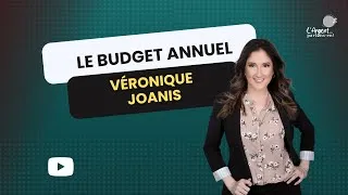 Miniature : Budget annuel 2025