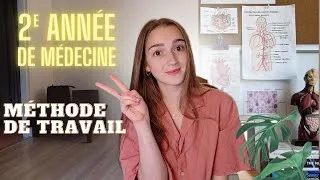 Miniature : Ma méthode de travail en 2ème année de médecine (organisation, conseils, mon expérience)