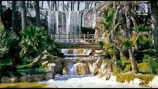 Miniature : Parc El Palmeral d'Alicante