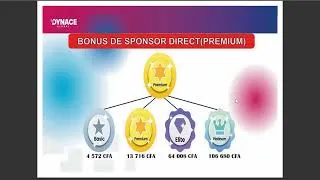Miniature : DYNACE GLOBAL : Le plan de compensation