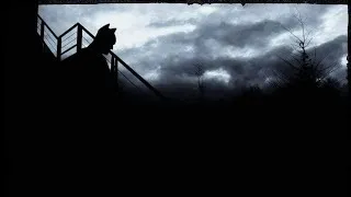 Miniature : BATMAN (Film 2013)