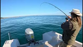 Miniature : Pêche en mer : beaux poissons en nombre !
