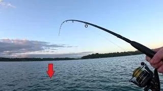 Miniature : Pêche en estuaire : les poissons sont là !