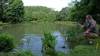 Miniature : Pêche en étang : gros poissons !