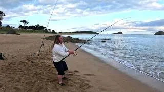 Miniature : Pêche sur la plage : les poissons sont là !