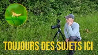 Miniature : Revenir au même endroit photographier la nature!