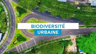 Miniature : Biodiversité urbaine