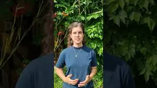 Miniature : Les volontaires naturalistes au Mas Mireille : Iza