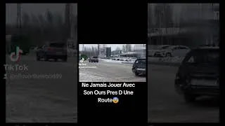 Miniature : Ne Jamais Jouer Avec Son Ours Près D Une Route