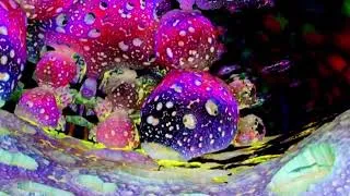 Miniature : Hypnotic dj Set [ĹŭDọ] - Visuals [Trippy Everything]
