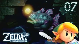 Miniature : Zelda Link's Awakening #07 — ABÎME DU POISSON & QUÊTES DES ÉCHANGES !