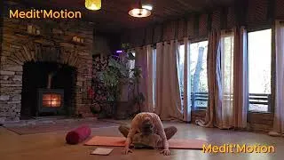 Miniature : YIN YOGA - foie et digestion