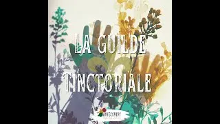 Miniature : Les 24h d'une savonnière artisanale aux couleurs végétale quand elle entre dans la Guilde Tinctorial