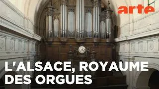 Miniature : Alsace, terre d'orgues | GEO Reportage | ARTE Évasion