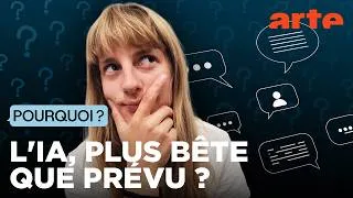 Miniature : Le "data poisoning", à quoi ça sert ? | Pourquoi ? | ARTE Info