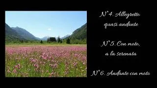 Miniature : Six feuillets d'album Opus 83 N°4, 5, 6 Stephen Heller Piano à deux mains Par Jean-Charles Bourquin